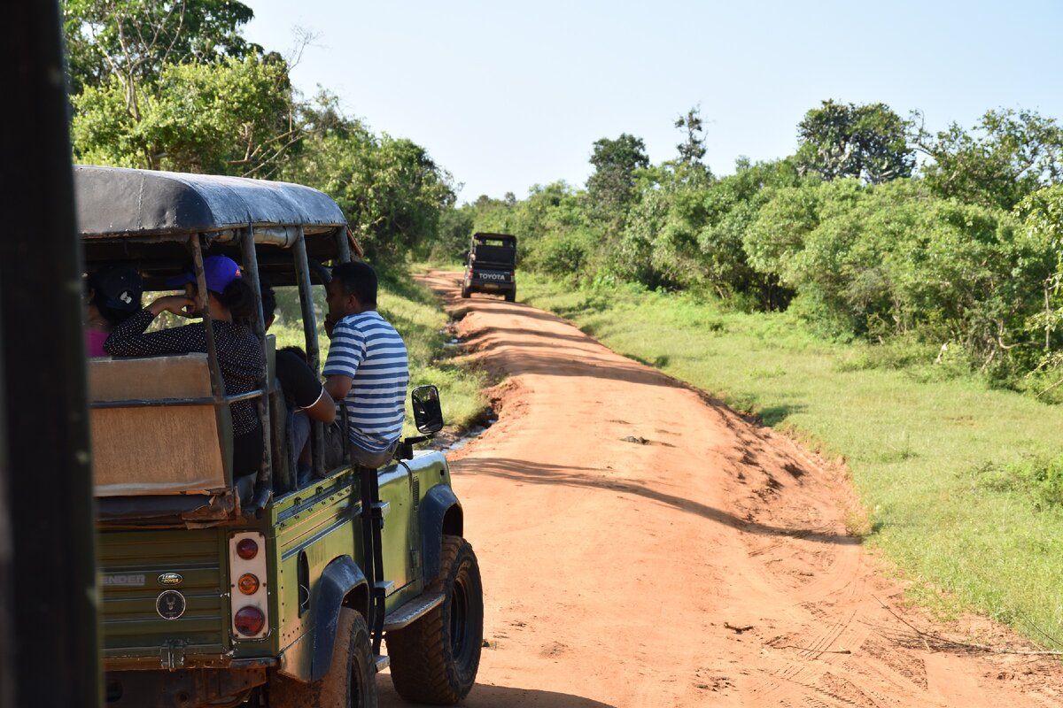 На территории национального парка Яла в поисках диких животных.
