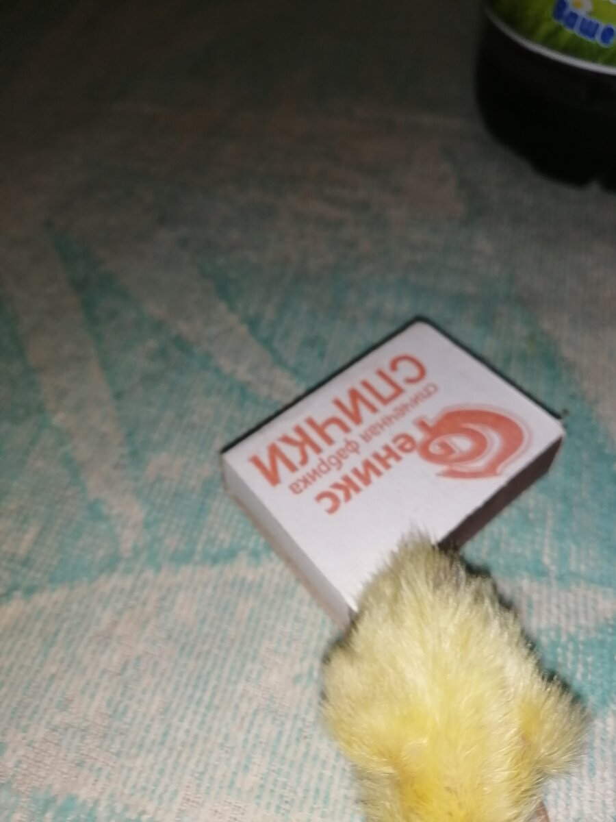 Это я пыталась для сына снять какой он мелкий,а он все убегает.