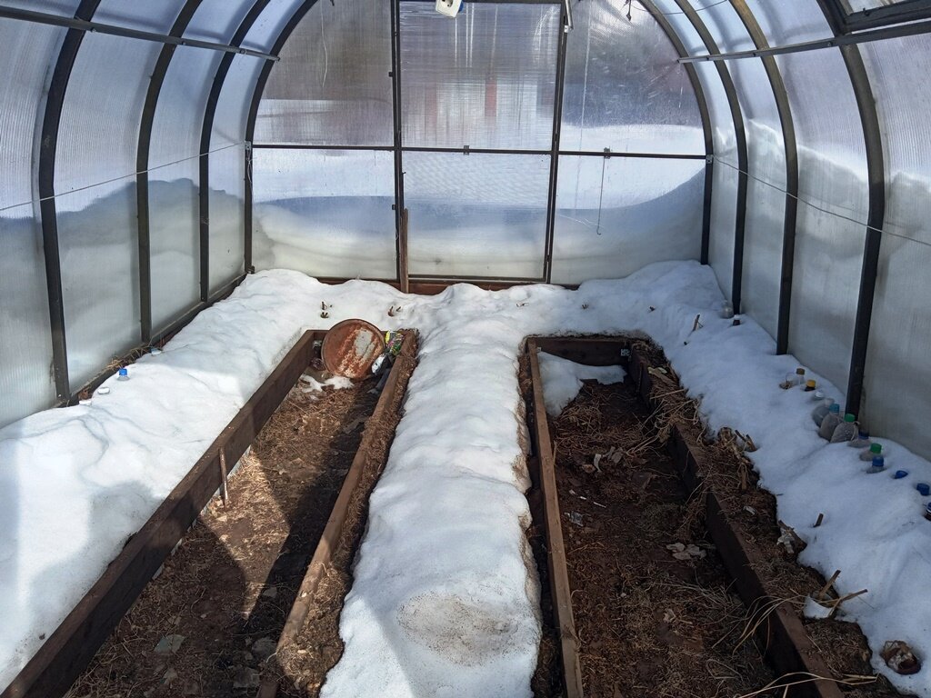 Набросали снег в теплицы неделю назад