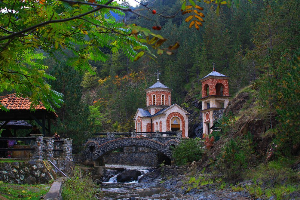 Флора сербии