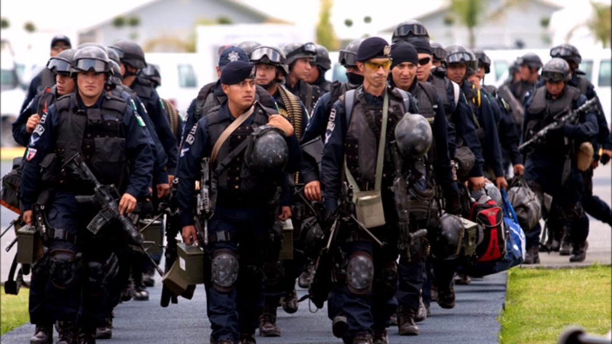 Фото из свободных источников. Сотрудники GOPES