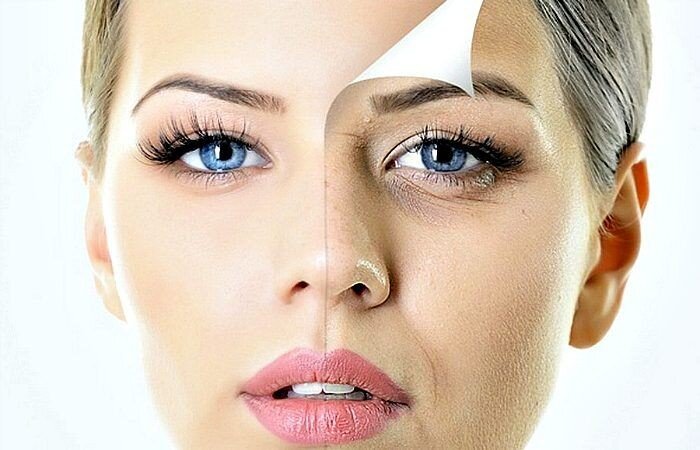 все изображения получены из открытых источников