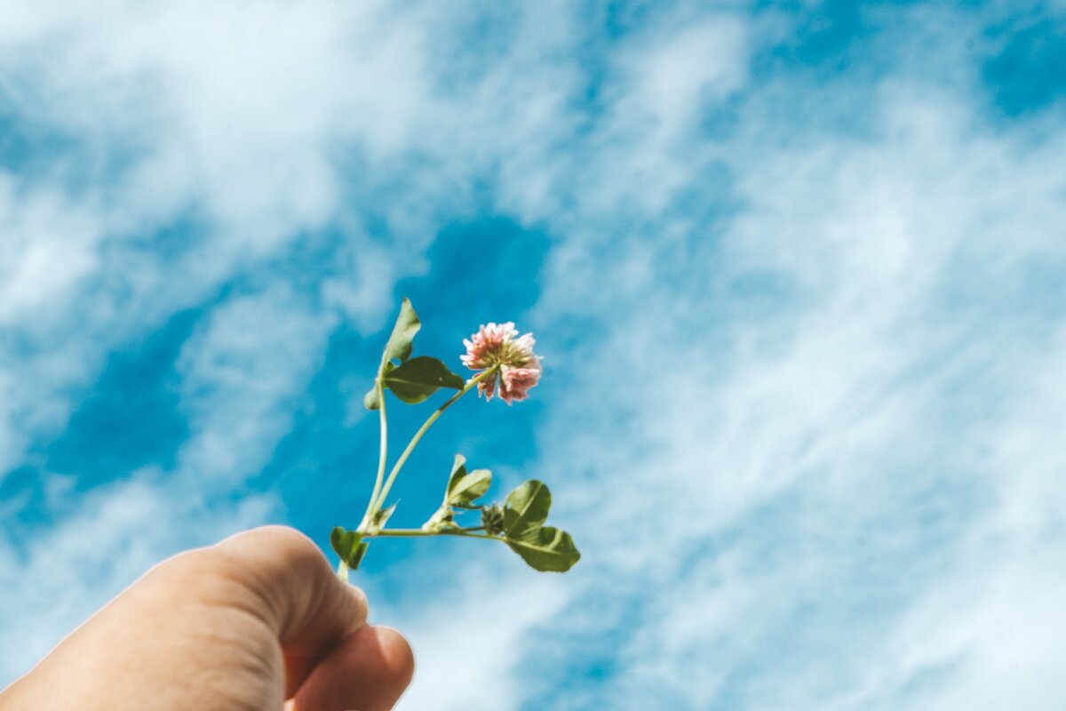 Это фото прошлогоднее, для яркой обложки=)