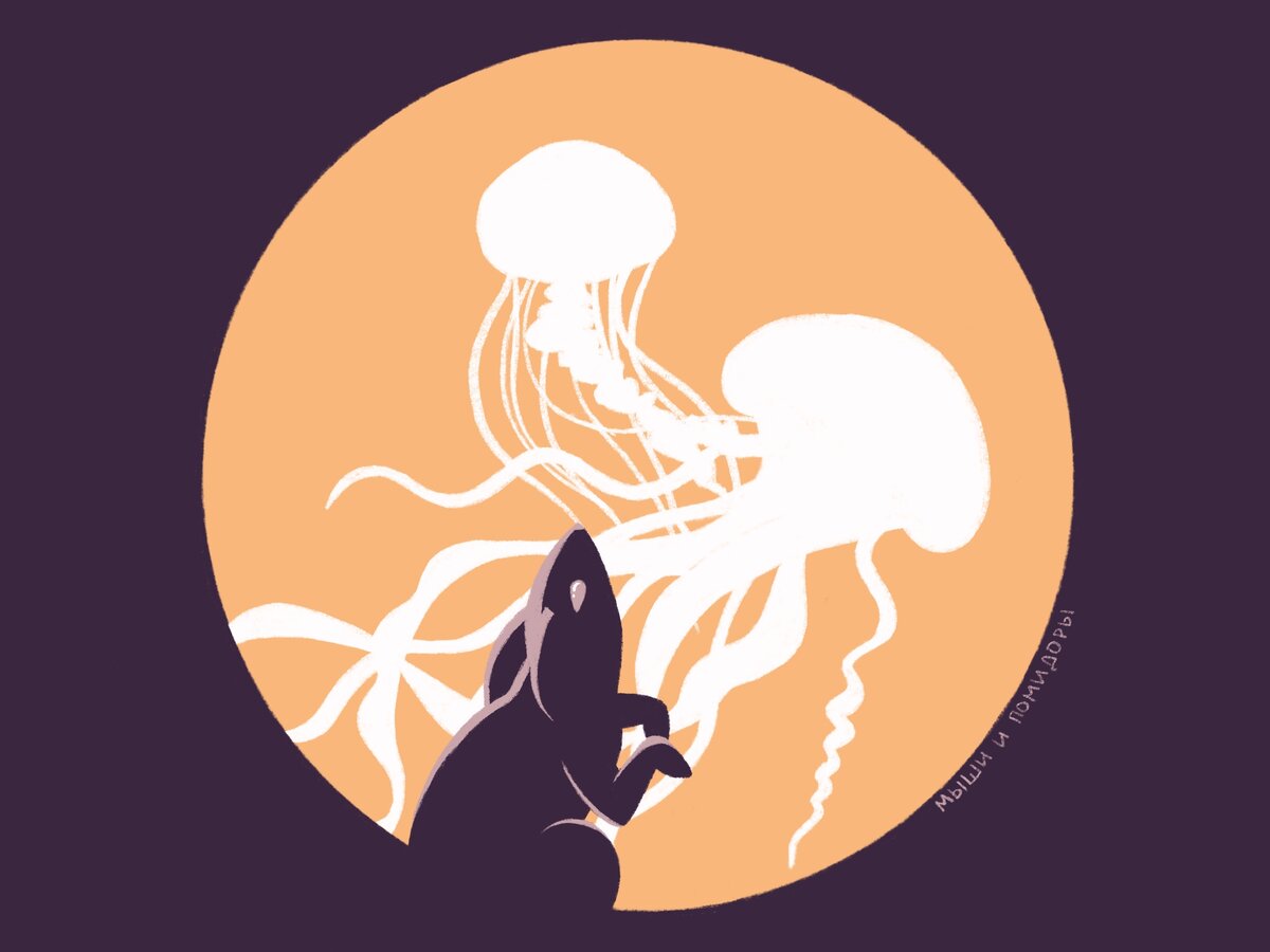 Смотреть, но не трогать