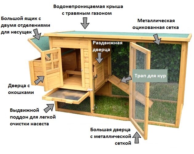 Строительство птичников для кур своими руками