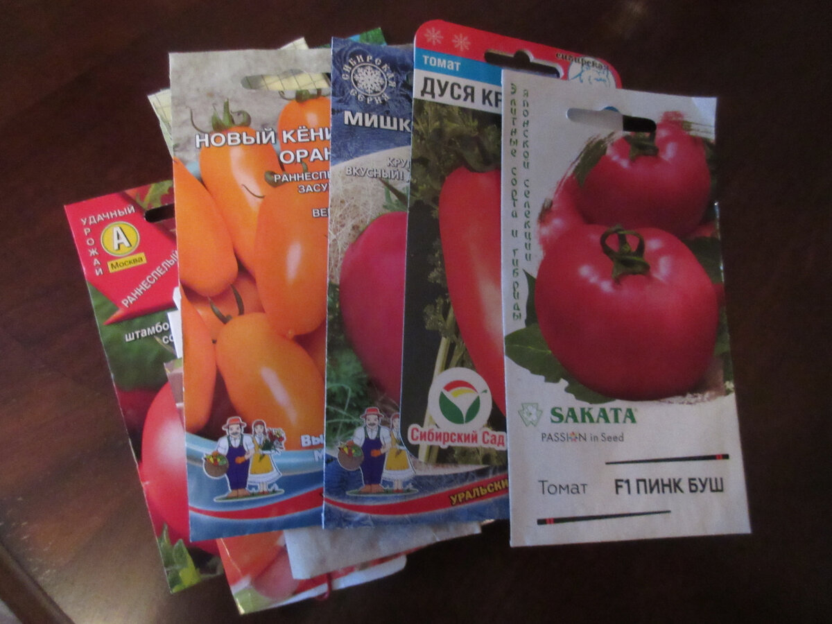 Каждый год кроме "стареньких" и проверенных, обязательно сею что-то новенькое