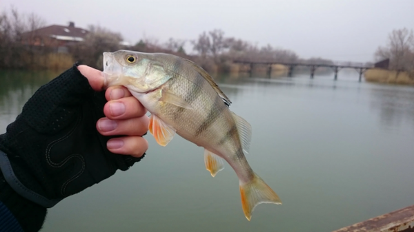 Источник фото: manrule.ru