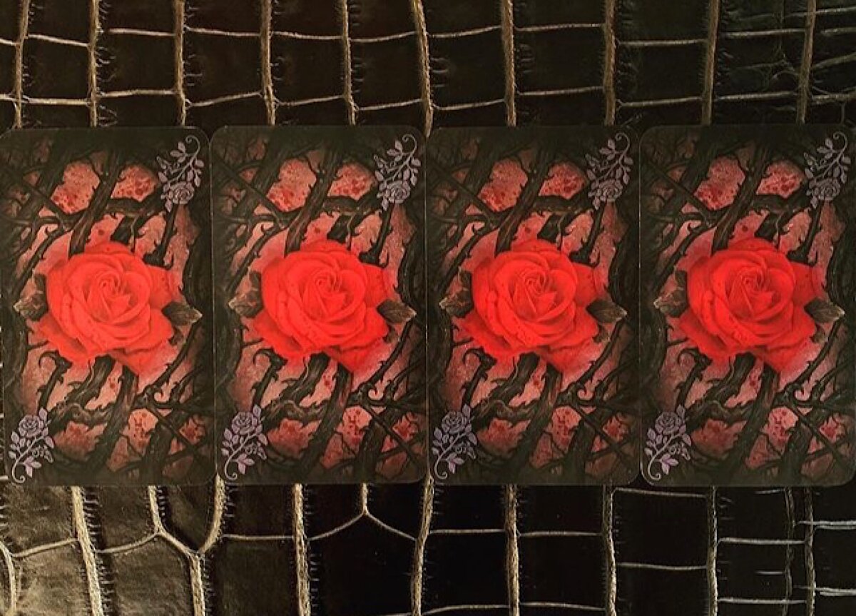 Выберите одну из четырёх карт и узнайте «Как он к вам относится, его мысли о вас».