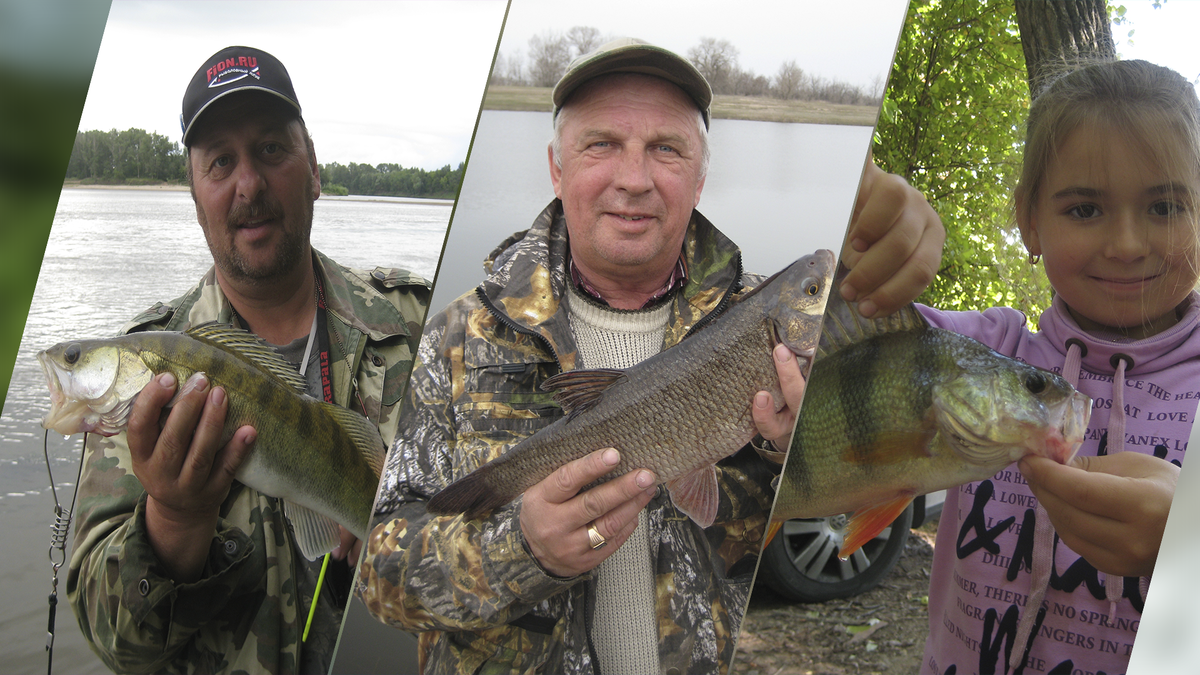 Ловили и судачка, и голавля, и окуня.