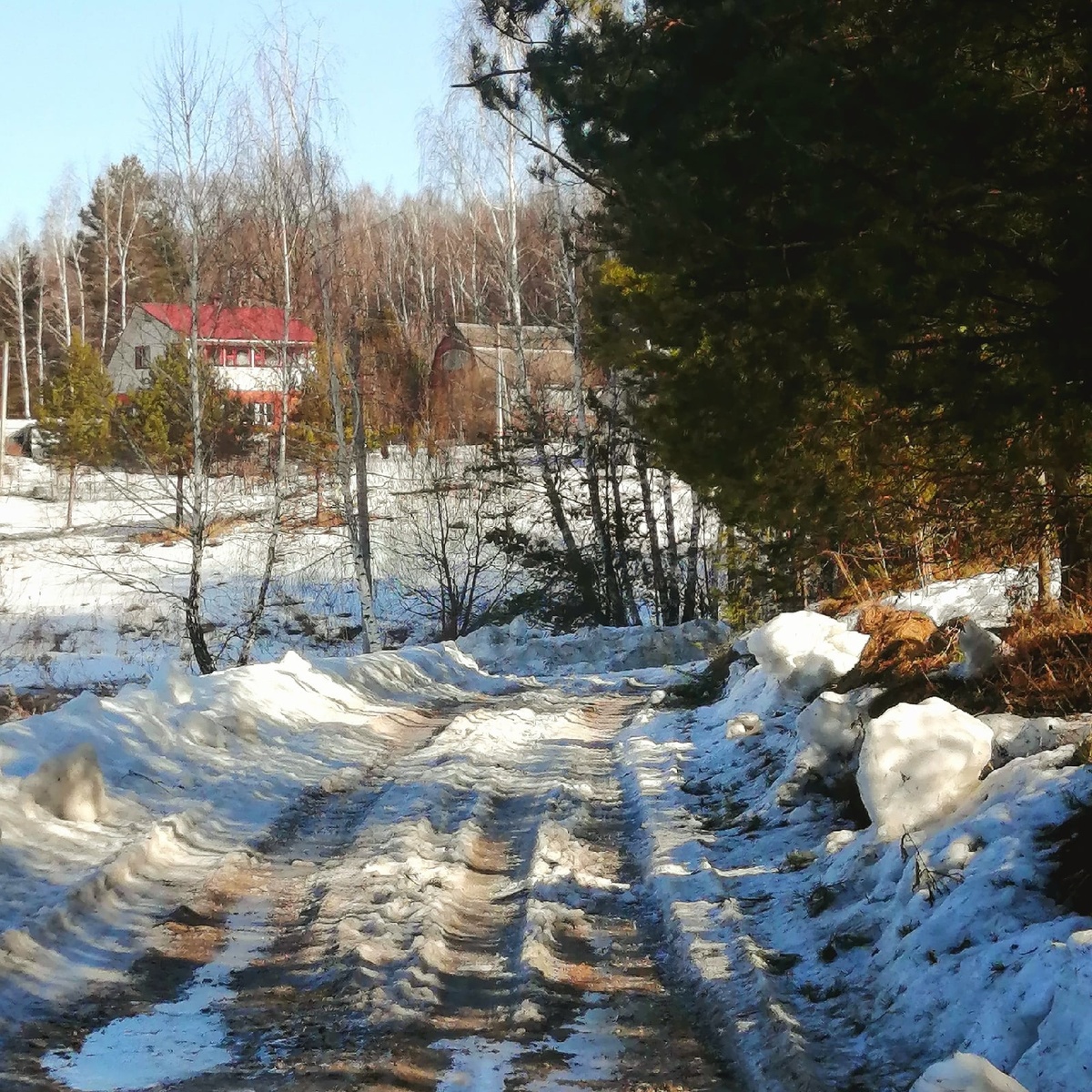 Вы не ошиблись, это Московская область :)