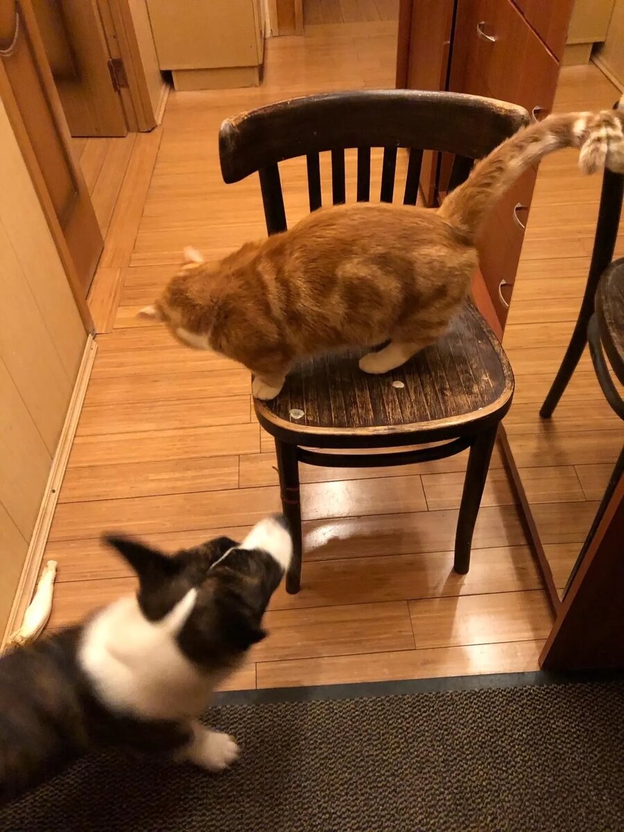 Первое фото «найденыша»