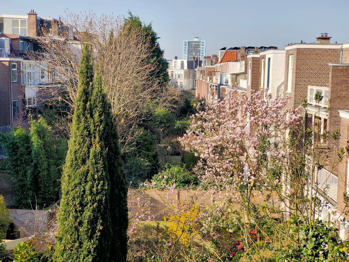 Вид на сад с балкона