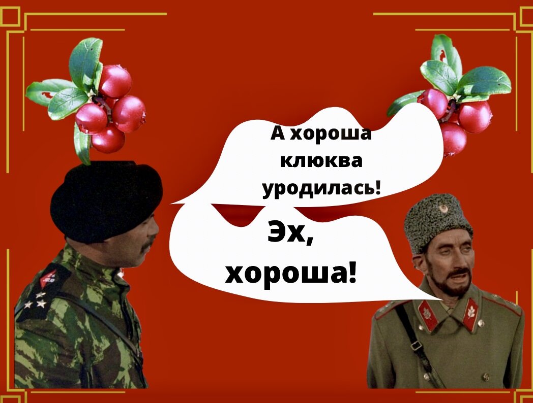 Клюква голливуда. Развесистая клюква. Красный рассвет 1984. Клюква голливуда. Развесистая клюква.