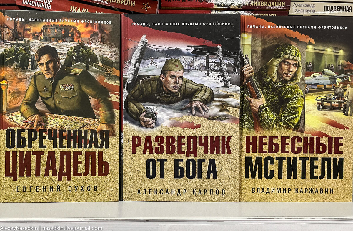 Книги написанные внуками фронтовиков. Небесные Мстители. Танкист из штрафбата.