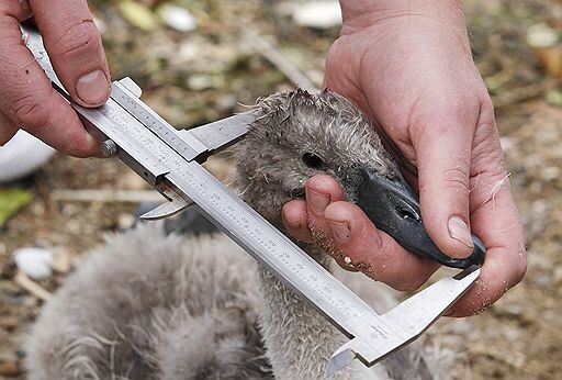 Измерение малыша 