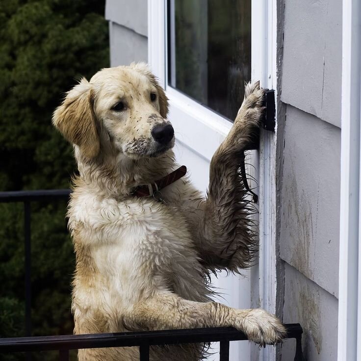 фото взято из открытого доступа