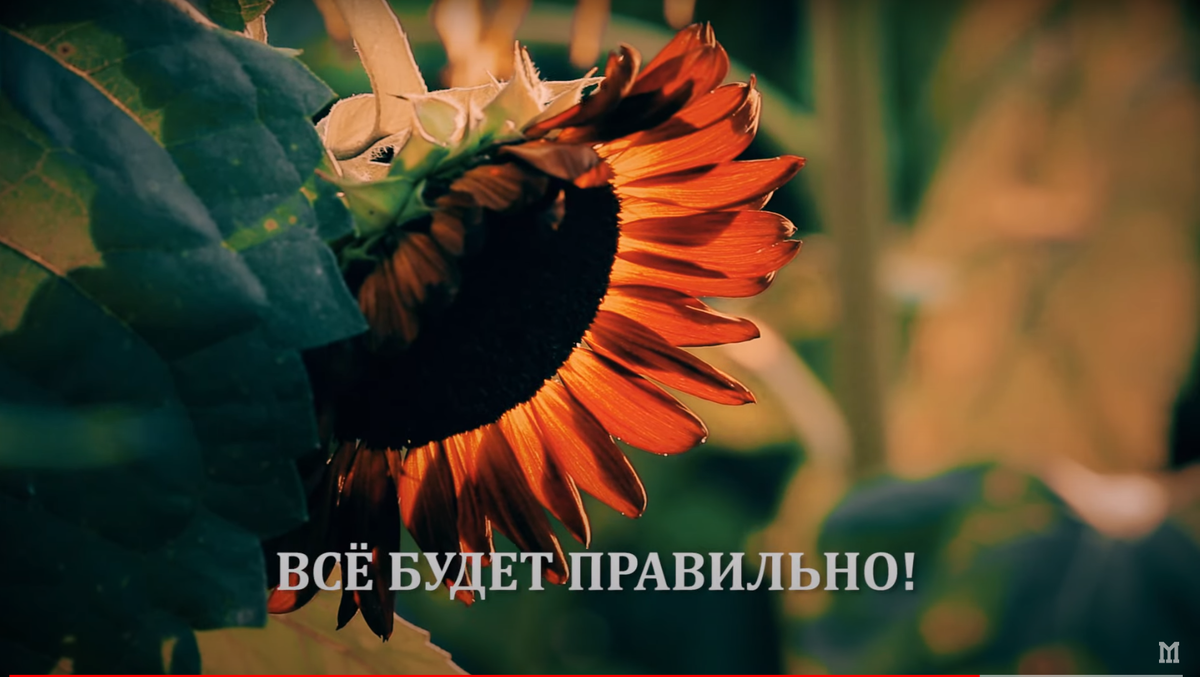 Завершение Девятой Солнечной Луны Намерения.... 
03.04.21

Двадцать Восьмой день Солнечной Луны Намерения (07.03. - 03.04.21) - Намерение - Пульсация - Осуществление.
Тотемная Сила - Ягуар

Четвёртая Жёлтая Неделя (Гептада) - 28.03. - 03.04.21 Девятой Солнечной Луны Намерения - Сила даёт Созревание Плоду

ГАРМОНИКА 28 (2.04.-05.04.21): ГАЛАКТИЧЕСКОЕ ПРЕОБРАЗОВАНИЕ. ФОРМУЛИРУЙ СВОБОДНУЮ ВОЛЮ ЦЕЛОСТНОСТИ. Кодон 53 - "ЭВОЛЮЦИЯ". Телепатия рахвивает Храм. Синяя Клетка Времени - Кровь Формилирует Истину как Гармонию Преобразования.

2.04 – 6.04.21. Хроматика Мудрости 51. Формирование 51-ой Гармонической Октавы.
Ноосферная матрица. Пси-плита Бури

3.04.21. Выходим из Башни ДУХА - Белой Башни Матрицы – Спектральной Бесконечности (кин 258) – Растворись в Свете Космической Медитации – «Осознание моей истинной природы есть свет медитации».
Размышляй - Осознание моей истинной Природы - Есть Свет Медитации
Провозгласи - "Теперь Я чист как Дух Космического Порядка" -
В Радости и спокойствии Я Устремляюсь к следующему Двадцати восьми дневному Циклу....

3.04.21. ПХЕ ПГА Кристаллический Синий ОРЁЛ, КАЛАХУН МЭН (Солнечный Выдох Юпитера) .Кодон 56 - Странствование.
Световой Код Руна 56 – «Путешествие во Времени Объединяет Разум».

Пятый из Десяти Порталов Галактической Активации Шестой Ритмической Вертикали ЦОЛЬКИН

Энергии Дня - Портал Галактической Активации - КИН 110, Белая Ритмичная Собака, УАК ОК (Солнечный Выдох Меркурия) занимает в Волне Красной Змеи ЧИК ЧАН (Галактический Вдох Мальдека) позицию в Шестом Ритмичном Галактическом тоне Творения - уравновешивающем тоне, что является очень хорошим знаком. Лучезарность открывает путь равенству и равновесию.
Достижение уравновешенности — величайшая задача воина духа, определяющая все сферы его жизни, от здоровья до взаимосвязей. Балансировка каждого момента требует постоянной бдительности, поскольку переменчивость — свойство самой жизни.
ОК, Белая Собака, после Чик Чан-Красной Змеи, - вторая часть эволюции. Трёхмерное представление в низких телах – это первичный уровень выражения жизни. Тем самым эти тела – эмоциональное, ментальное и физическое - неограниченный отпечаток Источника и их баланс важен для продвижения вперёд к совершенной жизни. Эта взаимосвязь работает самостоятельно и всегда связана с Высшим Я Души. Эти знания помогут тебе понимать каверзные жизненные процессы обучения в твоих нижних телах.

К этому же относятся и мощные эмоциональные волны, грозящие нас поглотить, и физическая радость, включая сексуальность. Сильные эмоциональные процессы, сопровождающие твоё развитие, очень поучительны и ведут тебя к твоей истине. Если в череде событий ты потерял свои части, то это тебя блокирует. Узнавая об этом, интегрируй их снова в Единство. Тем самым ты можешь управлять своей жизнью, направляя её на лучший путь. Это - один из признаков Мастерства, ради которого души воплощаются на Земле.

Ты сам решил испытать силы своей души в полярности. И ты не один несёшь во внешние миры Высшие энергии Творения. Любовь источника постоянно идёт сквозь плотную завесу бессознательного, неся нам надежду.

В плотном полярном материальном мире человек переживает сильные эмоциональные процессы, управляя своей жизнью и направляя её на лучший путь. И важной задачей является решение кармических вопросов, переводящих энергию ситуаций в нейтральное состояние.

Любовь – это доступ к высшим потенциалам. И она будет играть важную роль на всех уровнях твоей жизни. Тебя ждёт Любовь. Она приведёт тебя в твоё сердце.
Ключевые слова: Единое сердце. Любовь. Дружба. Преданность. Порядок. Ритуал. Ворота. Двери. Щель.
На высшем уровне – день Божественного Правосудия. Там где логика и интеллект терпят неудачу, побеждает Вера и Любовь.

Магический день. Другое название этого дня ДВЕРЬ или ВОРОТА. В этот день открывается щель между мирами...

Единое сердце, Любовь и преданность - спутники моей судьбы - КИН 110, Белая Ритмичная Собака, УАК ОК (Солнечный Выдох Меркурия) - Магический Крадрат Бенждамина Программы Кодона 10 - "ДЕЙСТВИЕ". Действие прокладывает Путь.
Древный Образ И-Цзин #10 ЛИ = Озеро\Небо Наступление (Поступь)/Наступание
...Сторожевое парящее Небо.
Притаившееся в зарослях озеро.
Наступи на тень свою.
Ровно-ровно иди.
Ни сворачивай, и ни бойся....

Толкование 10 Генного Ключа "Пребывая в простоте"... От тени Одержимость собой через Дар Естественность к СИДДХИ: Бытие...
КОДОНОВОЕ КОЛЬЦО: Кольцо Гуманности (10, 17, 21, 38, 25, 51)
..."Оставаться неприкрепленным в высшем состоянии бытия, в то же время участвуя в приключениях нашей эволюции, вполне возможно, является самой большой задачей, которую должны будут освоить люди будущего."

Пятый Плазменный Замок АЛЬФА (Время - Пространство) года Лунной Бури КА КАУАК.
Двадцатая Волна Красного Змея ЧИК ЧАН - Галактический ВДОХ Духа Мальдека в Плазменном звучании ЛИМИ (Силе трансценденого Присутствия) - ХРУМ... ХРУМ.. ХРУМ...
Шестая Линза Времени РАВЕНСТВА Галактического Вдоха Духа Мальдека явлена через ПГА Белой Ритмичной Собаки, УАК ОК (Солнечный Выдох Меркурия) и Ноосферный ПГА Синего Кристаллического ОРЛА, КАЛАХУН МЭН (Солнечный Выдох Юпитера)
...Мы любим создавать что-то простое, цельное и лаконичное. Радуемся этому ничуть не меньше, чем процессу создания сложных, витиеватых и мелкодетальных вещей! Красота всегда выше моды, вкусовых предпочтений и идейного наполнения....

Стадия Красной Волны Змеи ЧИК ЧАН (Галактический Вдох Мальдека) - Солнечное Расширение:
- Лунный атомно-молекулярный Пульсар Жизни Тона: 2 – 6 – 10 – 14 Йод-спектр (синтез)
Тона Творения: Лунный – Ритмический – Планетарный – Йод-спектр (синтез).
Галактическое Звучание - КА КИМИ (Марс) - УАК ОК (Меркурий) - ЛАХУН ИШ (Мальдек) - ЧАН ЛАХУН (Иц'ат)
...Октава ЗЕРО - начальная точка творения

- Магнитный Обертонный пульсар. Тона: 1 - 6 - 11 – 16. Подключение Лучей Звёздно-Адамантного Спектра, возрождающих Архитектонику Света.
Тона Творения: Магнитный - Ритмический - Спектральный - Шестнадцатый.
Галактическое Звучание - ХУН ЧИК ЧАН (Мальдек) - УАК ОК (Меркурий) - ХУНЛАХУН МЭН (Юпитер) - ВАК ЛАХУН
... Рыцарь в золотых доспехах это Луч Солнца...

МАТЕРИНСКАЯ ПЛАТА для Мегакомпьютера Разума Мироздания на основе 16-ти ядерного процессора. Активация Четырёх Планов Бытия через Октавный Ряд Двадцати восьми Дневной Модели Телектонона Мудрости и Куба Сердца:
Двадцать Восьмой День Девятой Луны Намерения Года Лунной Бури Ка КАУАК (Солнечный Выдох Плутона) -
Внешняя Грань - Кодон 44 - "ВРЕМЯ ПРОНИКАЮЩЕЕ". Время наделяет Силой Принцип Динамического Построения
Внутренняя Грань - Кодон 55 - "ПРОБУЖДАЮЩАЯСЯ МУДРОСТЬ". Телепатия становится Путишествием во Времени

48 Гармонических Рун УР Второго Творения
Октава Вторая - Цепочка Десятая
Руна 76 – «Команда Космического Творения Озаряет Твердь».

ЕДИНАЯ СПЕКТРАЛЬНАЯ МАТРИЦА (Сварожий Круг).
12-й Чертог «КОНЬ» (Лося). Покровитель – Богиня Лада. Священное дерево – береза.
РУНО 108. «ВИЕТЬ». Число 8 – Веять. Излучение энергии мысли, Идеи.

Плазма Дня - 28 СИЛИО - собирается в сердечной чакре и отвечает за заряд ментального электрона, который находится в телепатическом резонансе с центром Земли.
Силио - Сердечная чакра - разряжает - ментальный электрон - нейтрон (мэн). Седьмая плазма. Силио - в сердечной чакре, она соответсвует Семи звездам созвездия Плеяд.
В этот день наше сердце в Плеядах.
Сформирована молекула Времени....Визуализация Радужного Моста...
ПАДМАСАМБХАВА - Моя роль - завершить дела Будды и Украисть Землю Лотосоокими Цветами... СВАМИ... СВАМИ.. СВАМИ...
Я разряжаю ментальный электрон - нейтрон в центре Земли.
В Здесь - Ра-Дугу - ЗРИ!

Изначально Чистая Суть!

3S