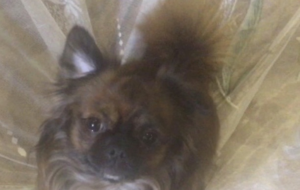 Личное фото.