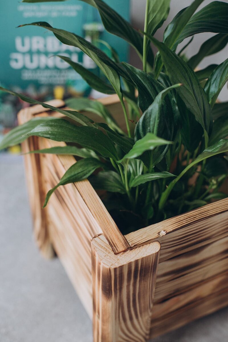 Деревянное кашпо. Артикул: 380678