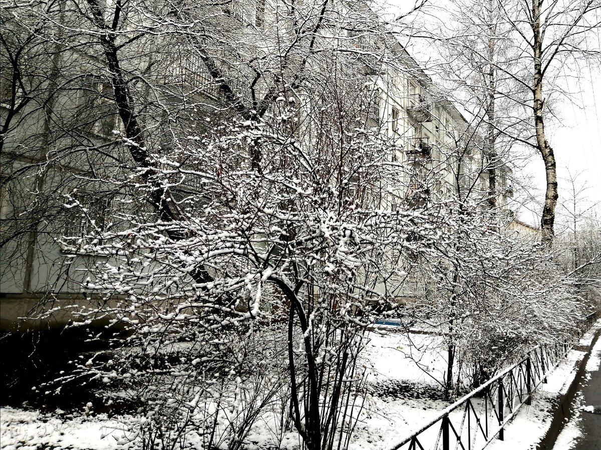 Снег в середине весны