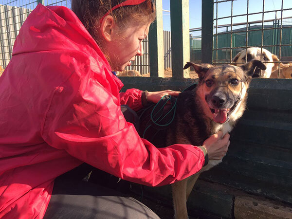 Шайба в стенах приюта