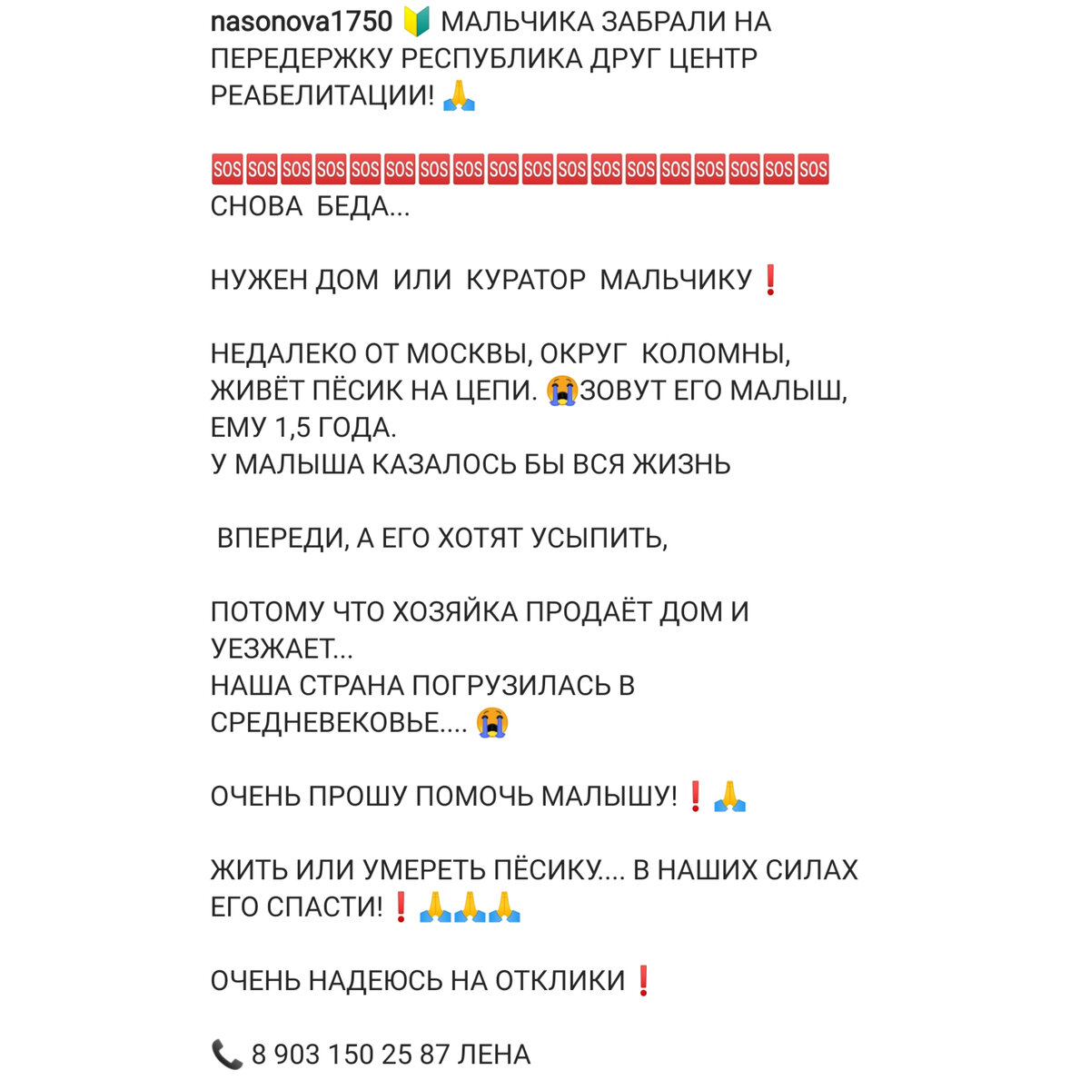 А вот и сам пост