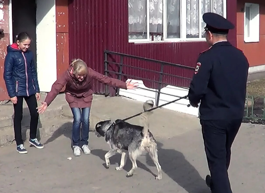 Фото не наше, конечно, но прекрасно отображает всю суть) дальше поймете