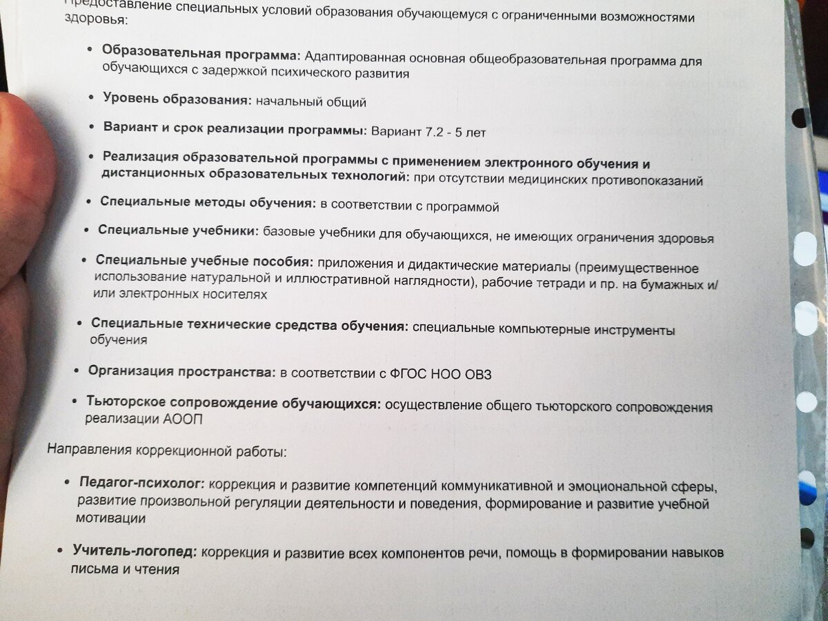 Как съездили на ПМПК комиссию с Луминицей | Многодетная МАМА на удалёнке 💻  | Дзен