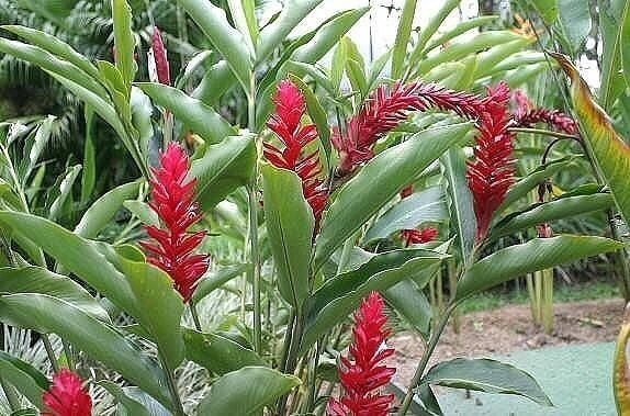 Фото из интернета