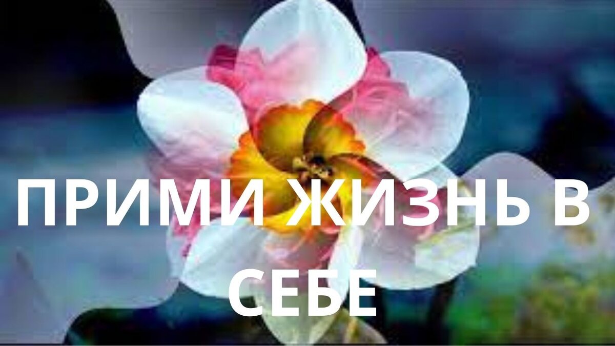 Сила и узкие места в сознании...