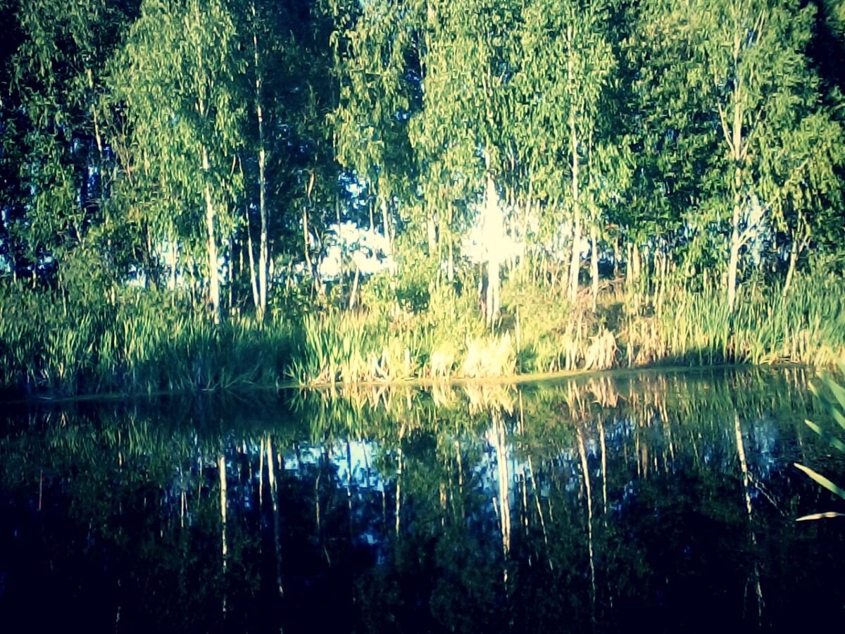 2015 г, "Колдовское озеро" на Грязовке около криницы, фото предоставила Ташкова Вера