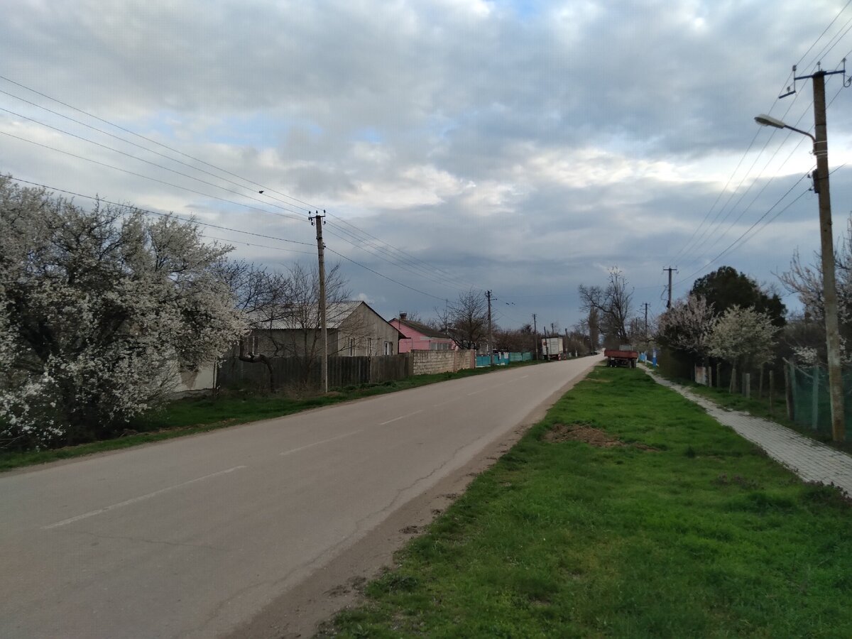 Улица Школьная в Токарево.