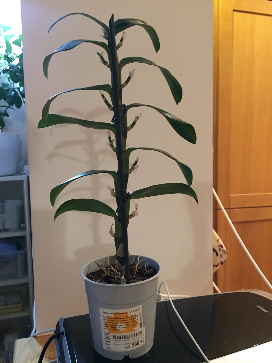 Вот такой купила, еще не трогала