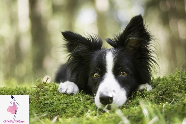  Фото с сайта https://worldofwomen.club/