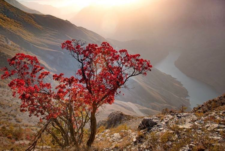 Фото Мухтара Гаджидадаева