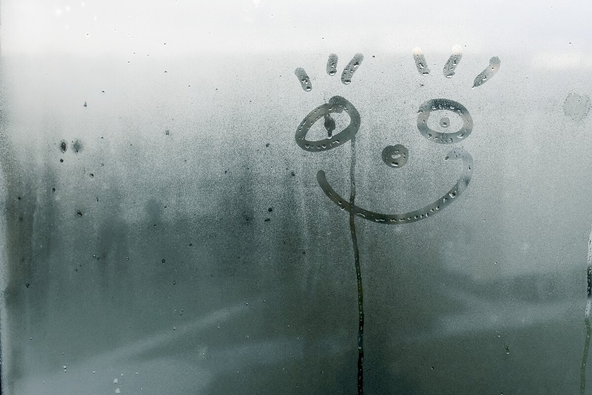Фото: pixabay.com