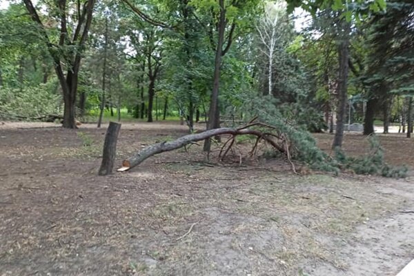 Парк НЭВЗ. Фото novochgrad.ru