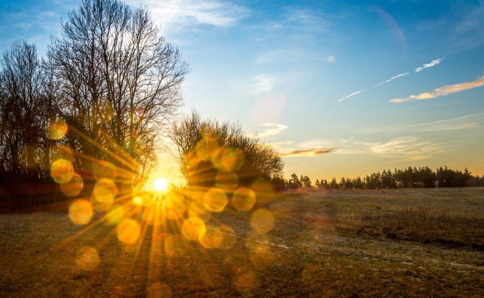 Фото — goodfon.ru