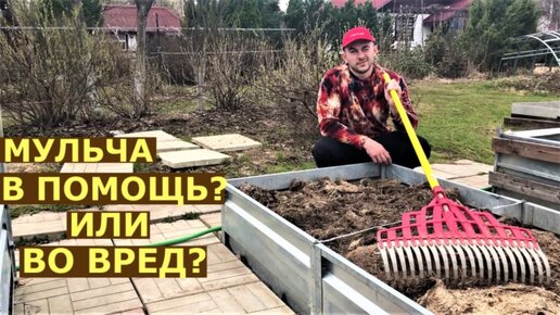 Весной мешает старая мульча? Что делать с мульчей перед посадкой?