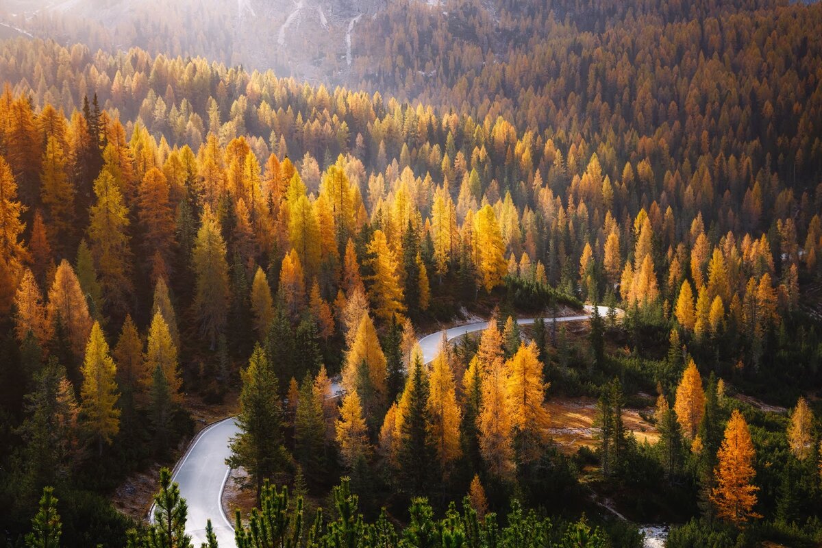 Новые перспективы. Фотография: Shawn C. Steiner/bhphotovideo.com