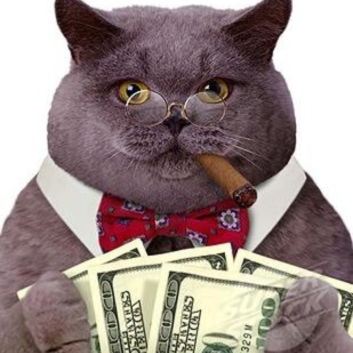 Да-да, именно так.