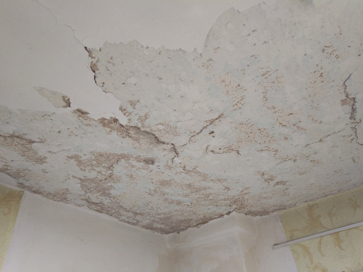 А хотела, только чуток трещины зачистить и подмазать.