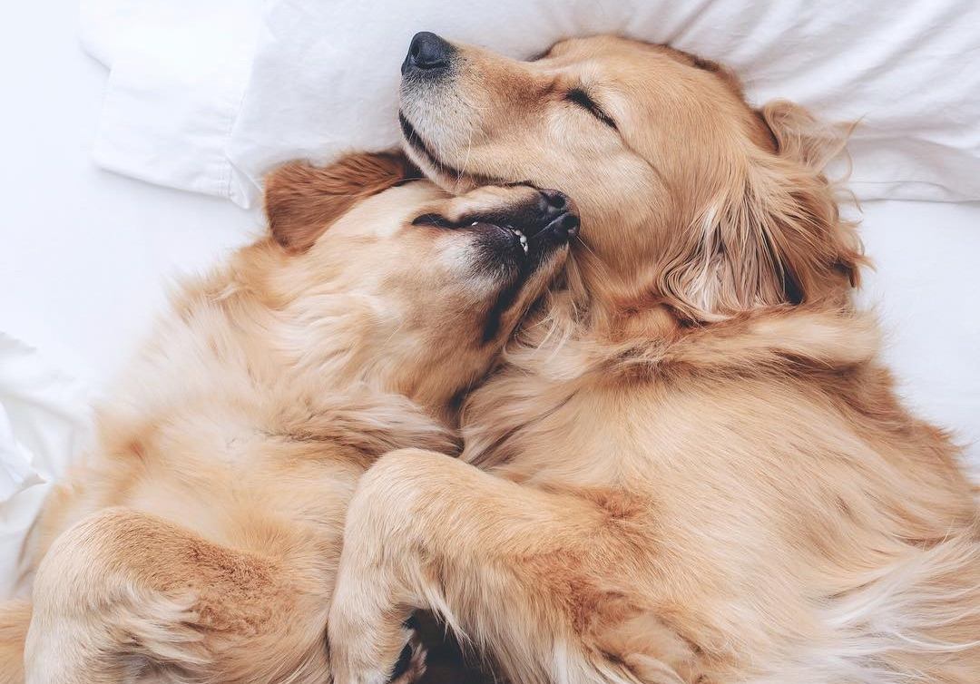 Картинка для иллюстрации из nuus.hu