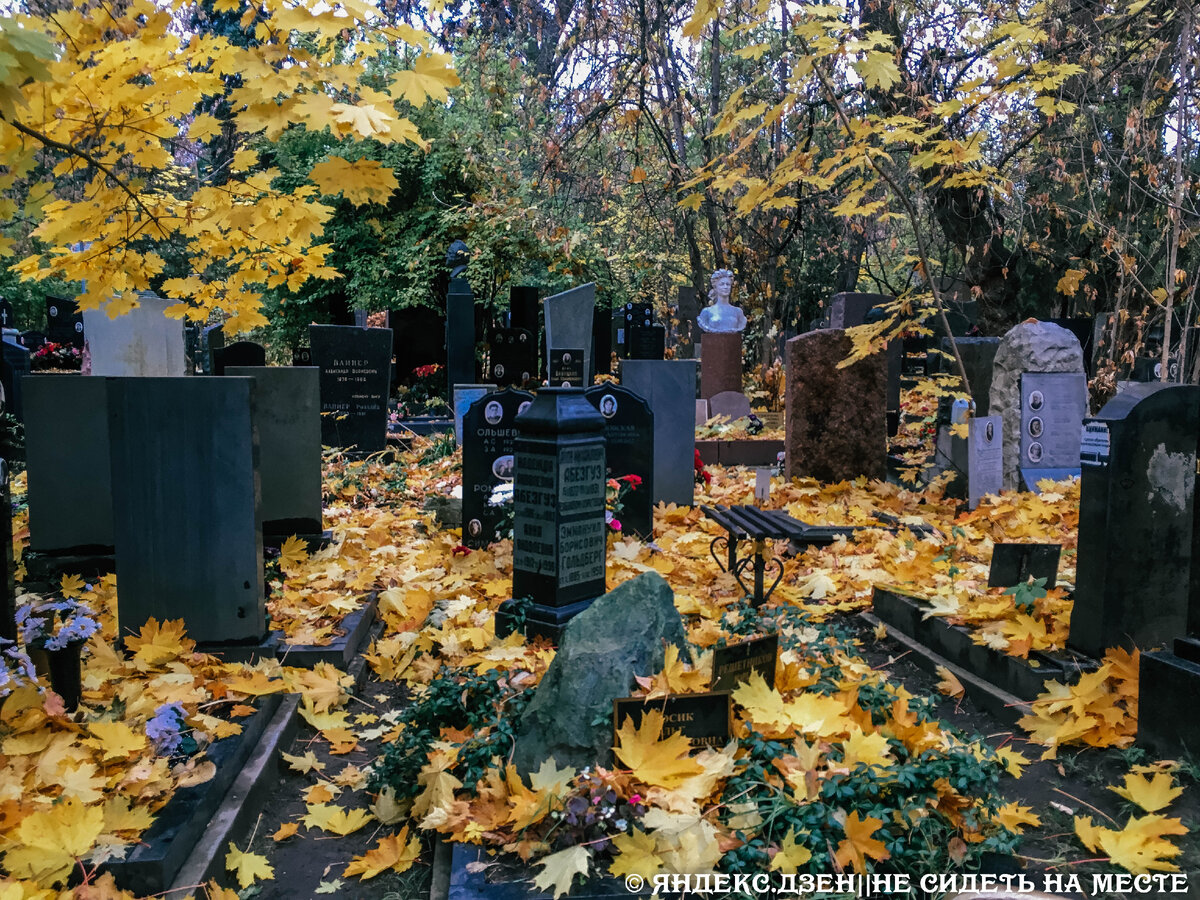 Место, где хоронили врагов народа. Новое Донское кладбище в Москве | НЕ  СИДЕТЬ НА МЕСТЕ | Дзен