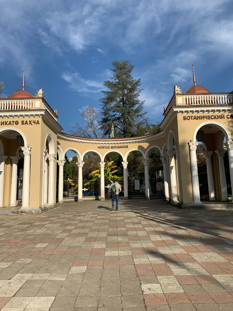ботанический сад Сухума, авторское фото