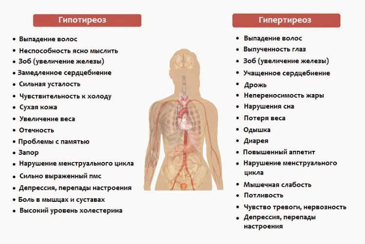 Заболевание гипер. Гипотиреоз щитовидной железы симптомы. Признаки заболеваний щитовидной железы (синдром тиреотоксикоза). Заболевания щитовидной железы (гипертиреоз, тиреотоксикоз).. Симптомы гипо и гипертиреоза щитовидной.