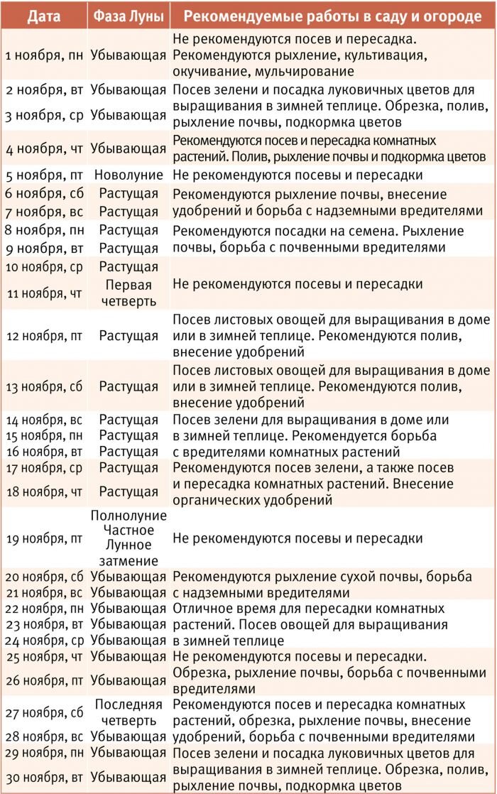 Лунный календарь: какие работы в огороде нужно провести в сентябре Сельский Жите
