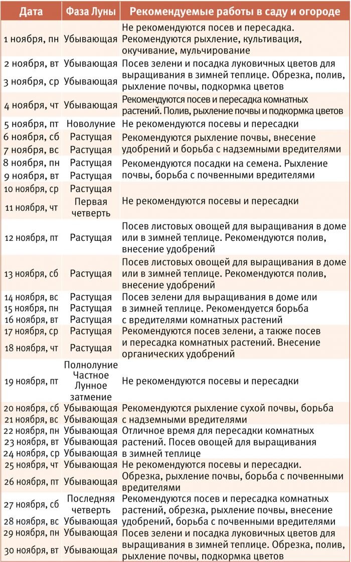 Астросфера лунный календарь стрижек на апрель