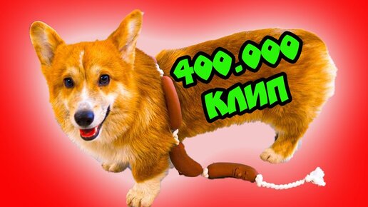 волосатая попа Я - НЕ ВОЛОСАТАЯ СОСИСКА!! Клип на 400К! Корги Коржик (Official music  video) | Корги Коржик | Дзен