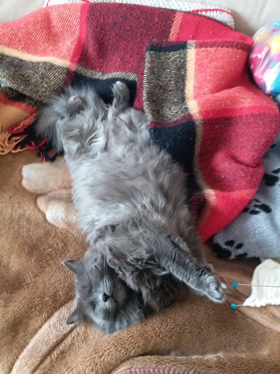 Абсолютное доверие 